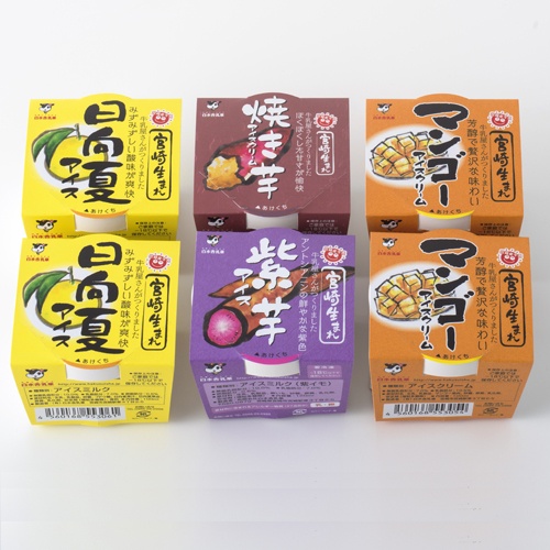 アイスギフトセットD